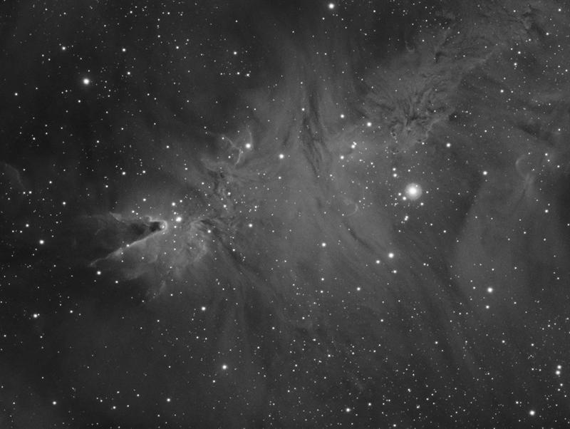 NGC2264 - The Christmas Tree Cluster & Cone Nebula