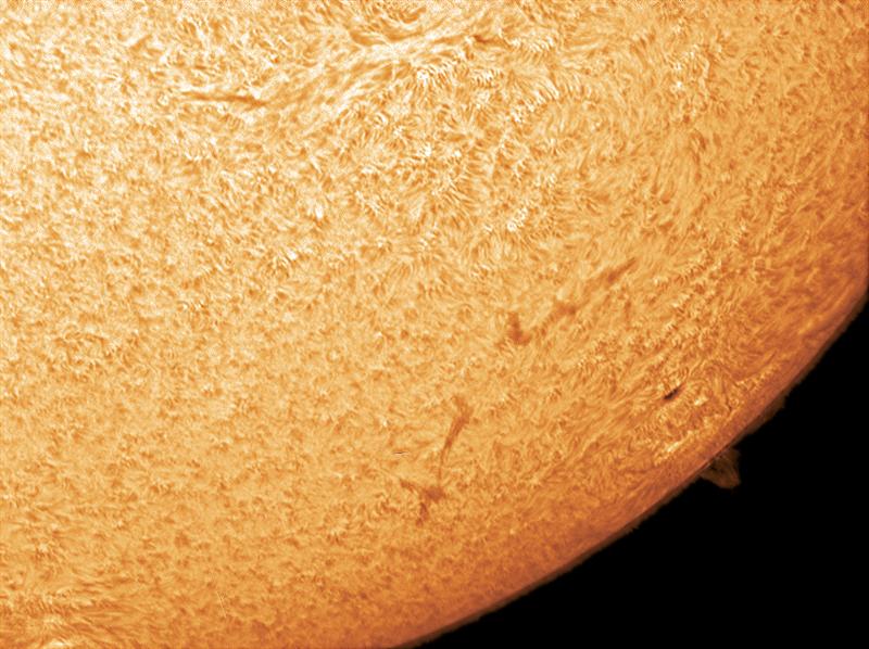 AR 1203 on the Sun 4-29-11