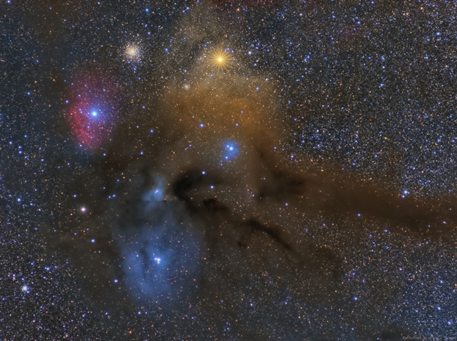 Rho Ophiuchi Complex