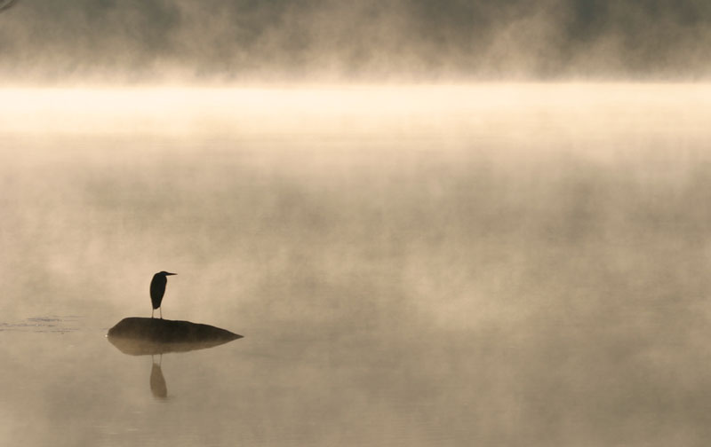 Sentinel of the Lake