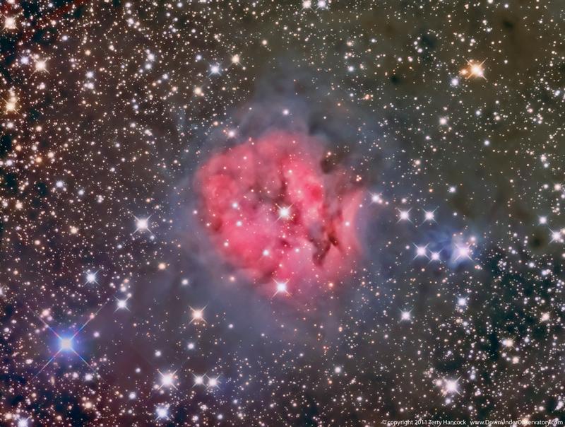 Cocoon Nebula IC5146 LRGB+HA