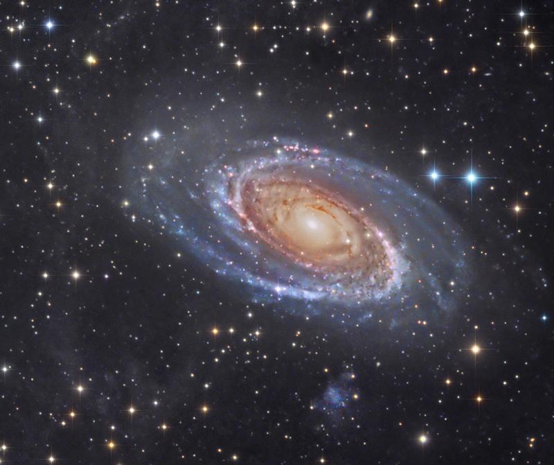 M81 (NGC 3031) Bode's Galaxy