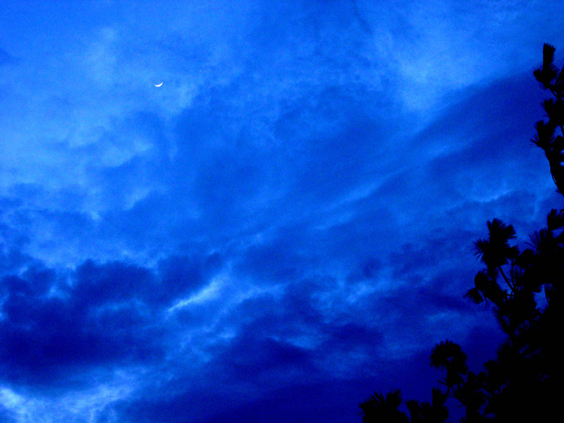 Cloudy Evening Moon