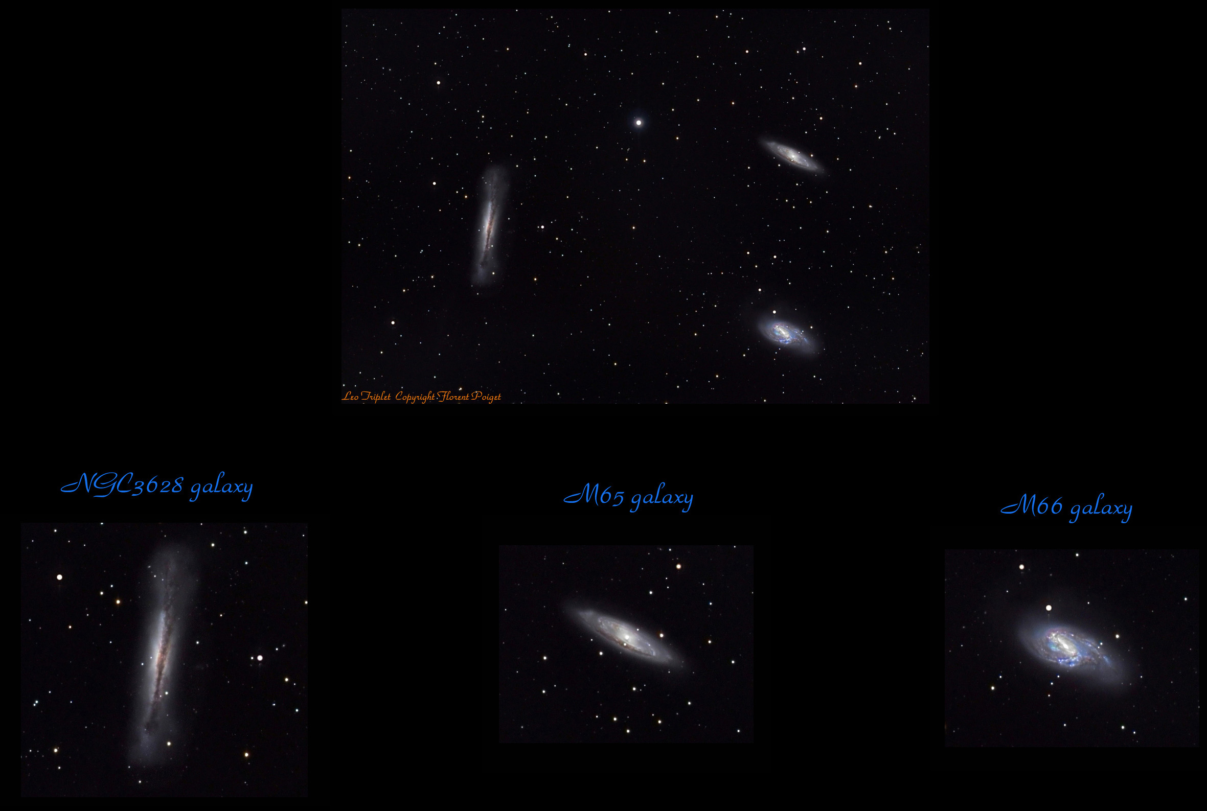 Leo Triplet Ultimate version