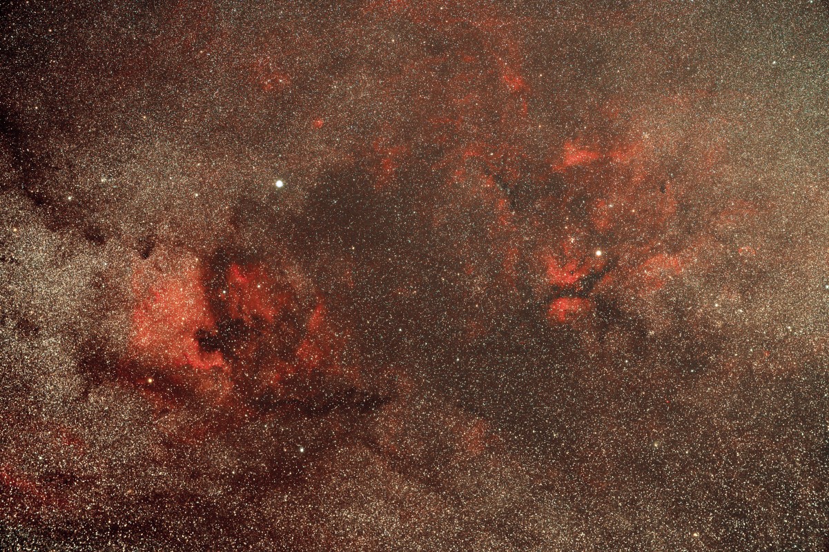 Cygnus Region