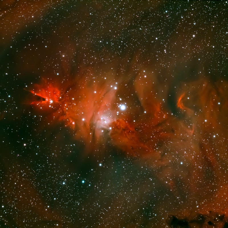 Ngc2264