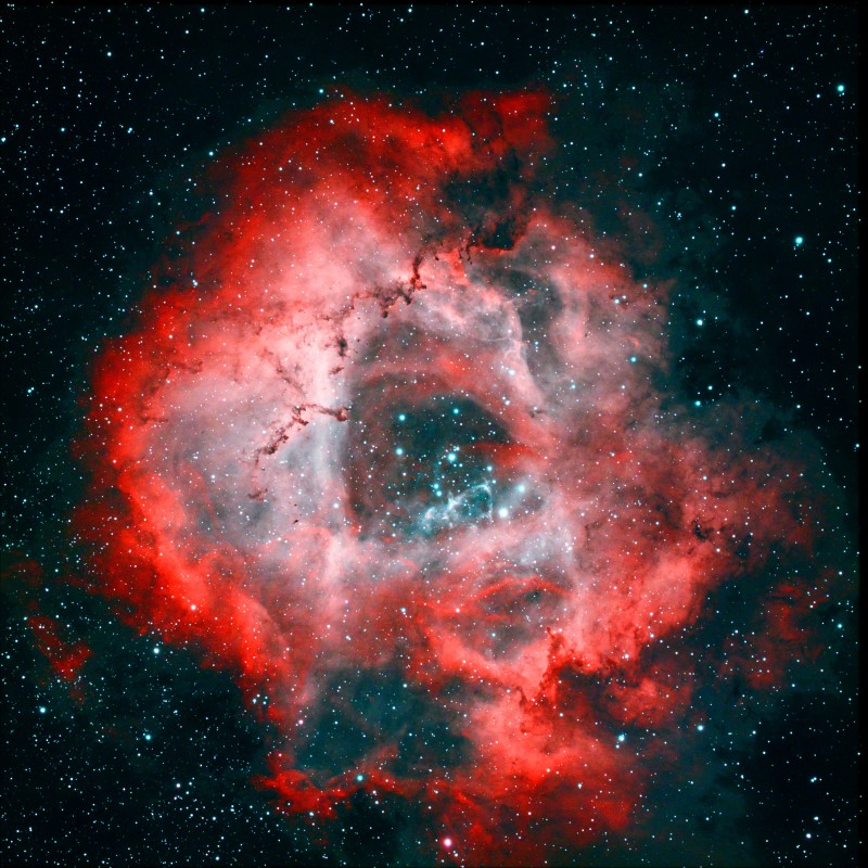 Rosette nebula.