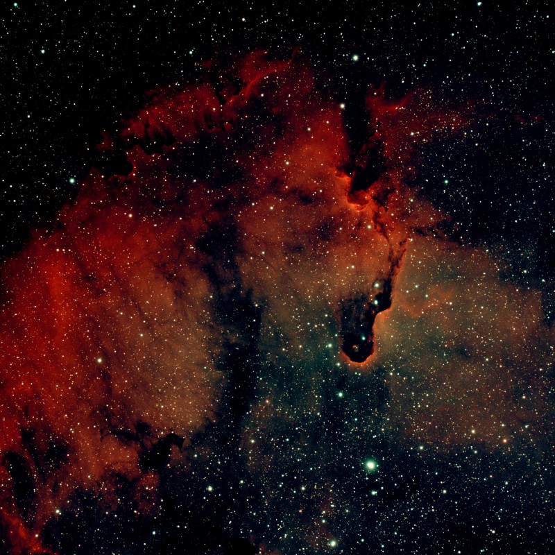 Elephant trump nebula
