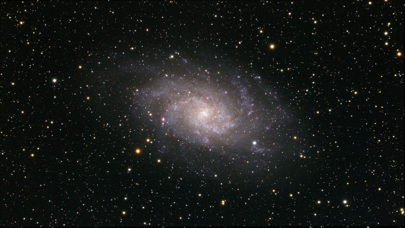 M33
