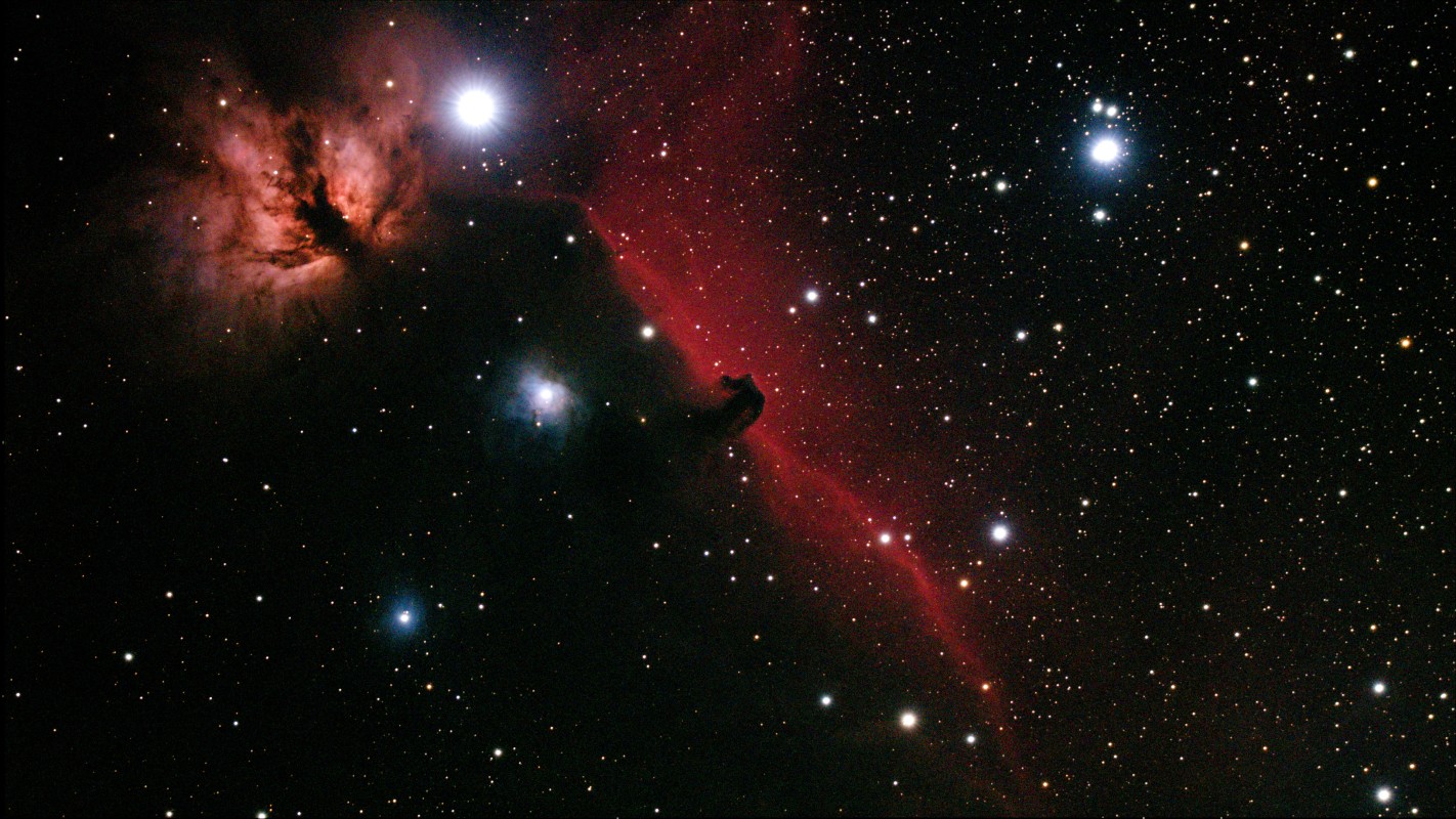 🐎 head nebula