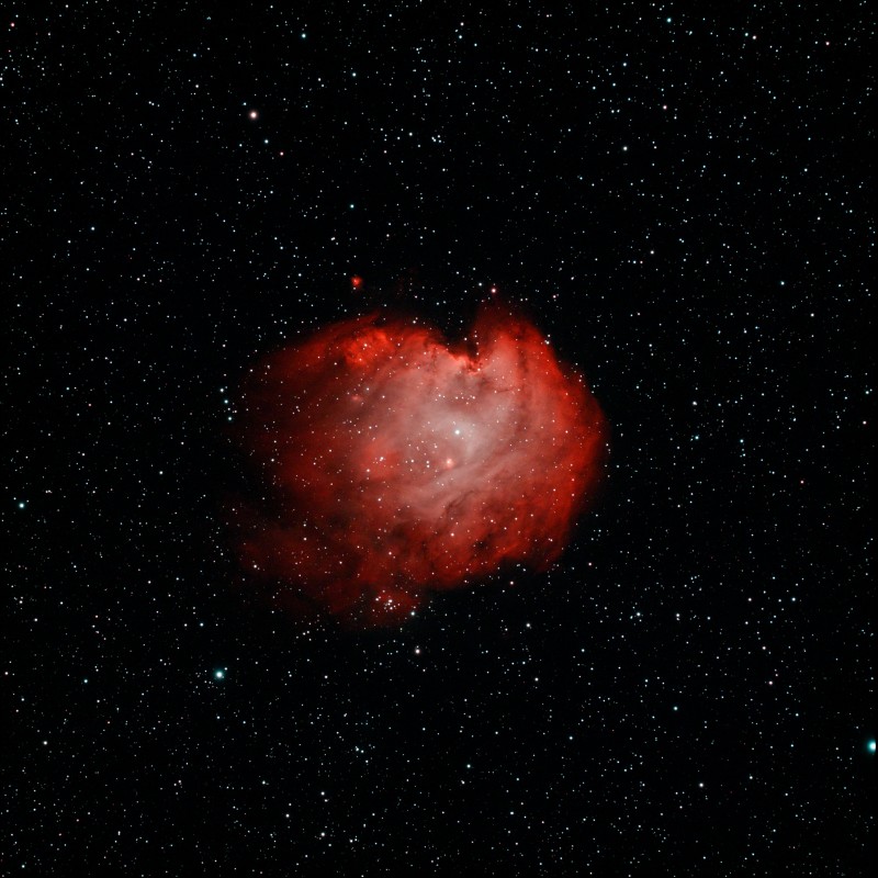 Monkey head nebula.