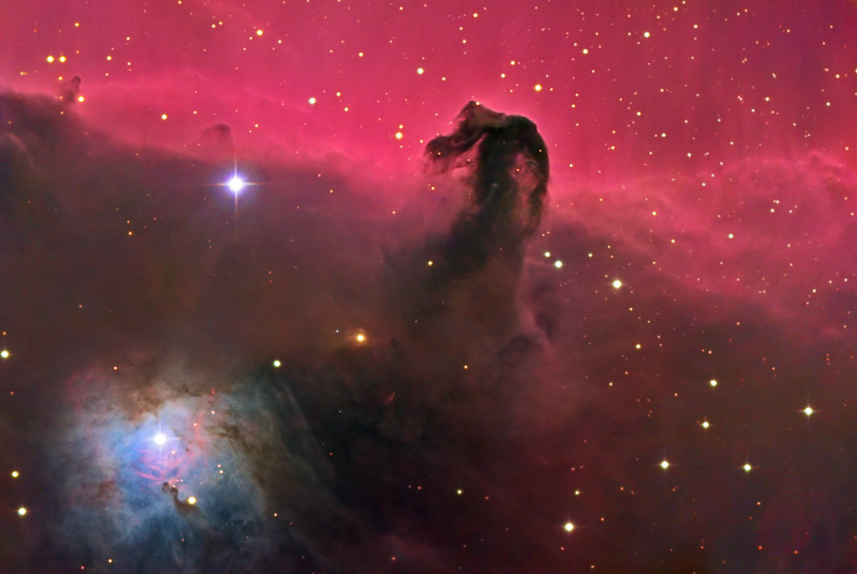 Horsehead and NGC 2023