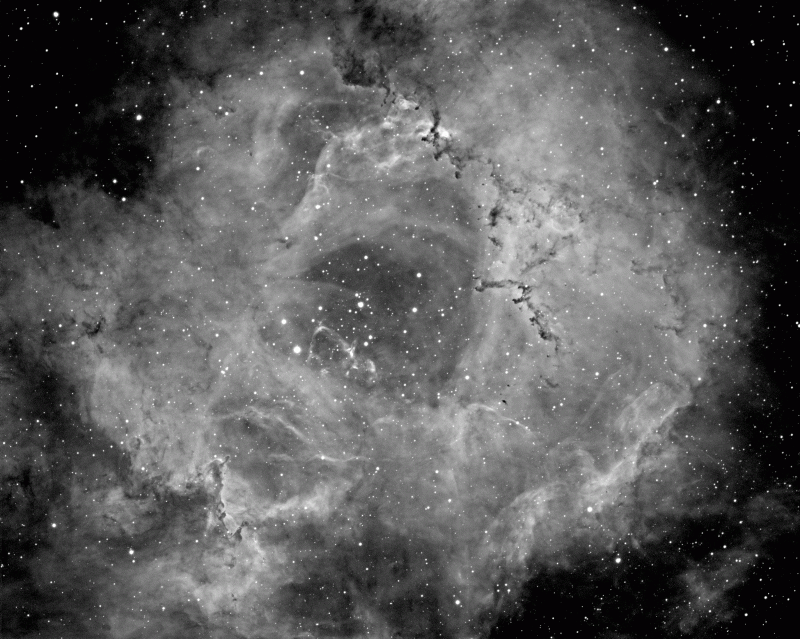 Rosette in Ha