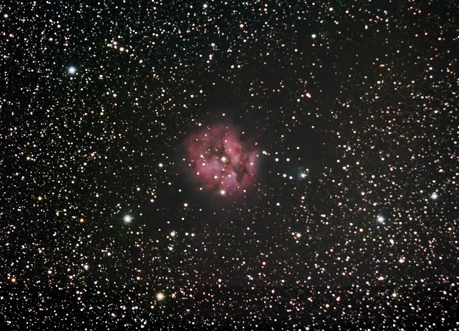 Cocoon Nebula