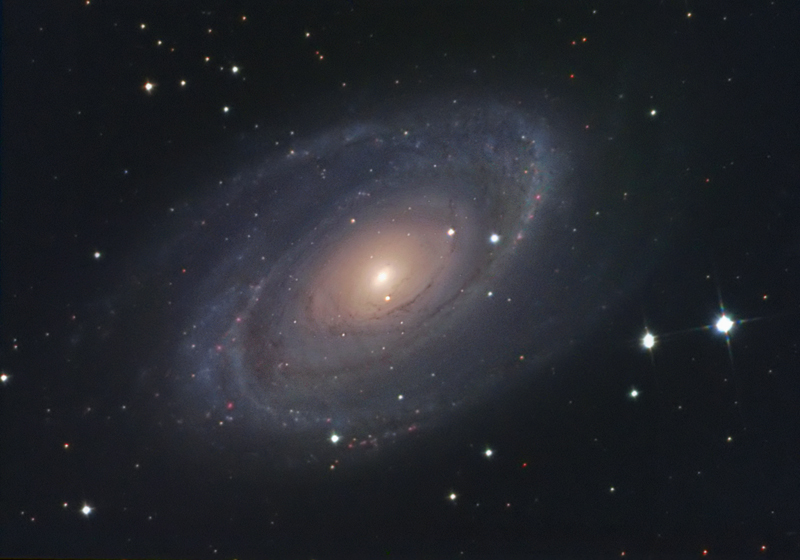 M81