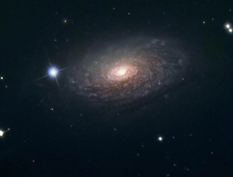 M63
