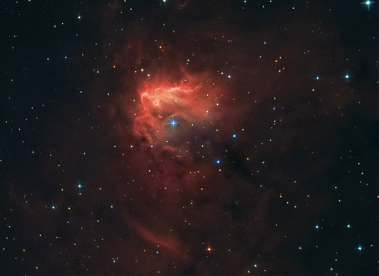 NGC1491