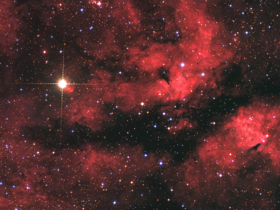 IC1318