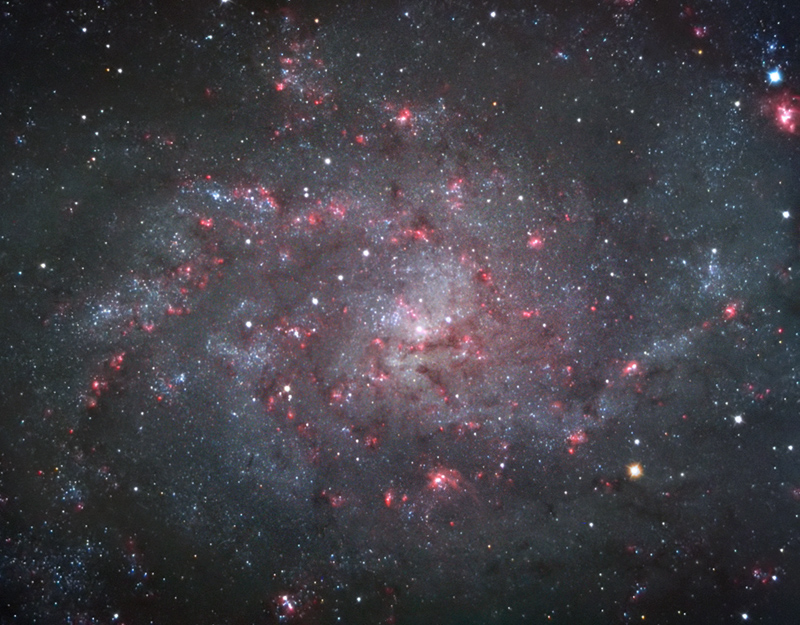 M33