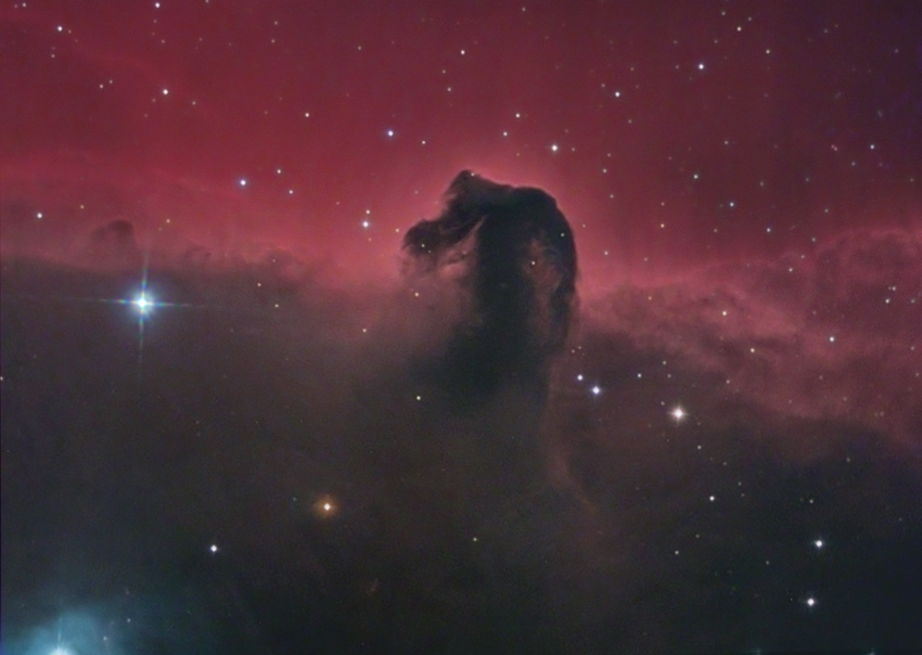 HORSEHEAD
