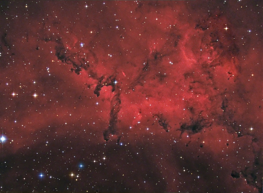 Part of the Rosette