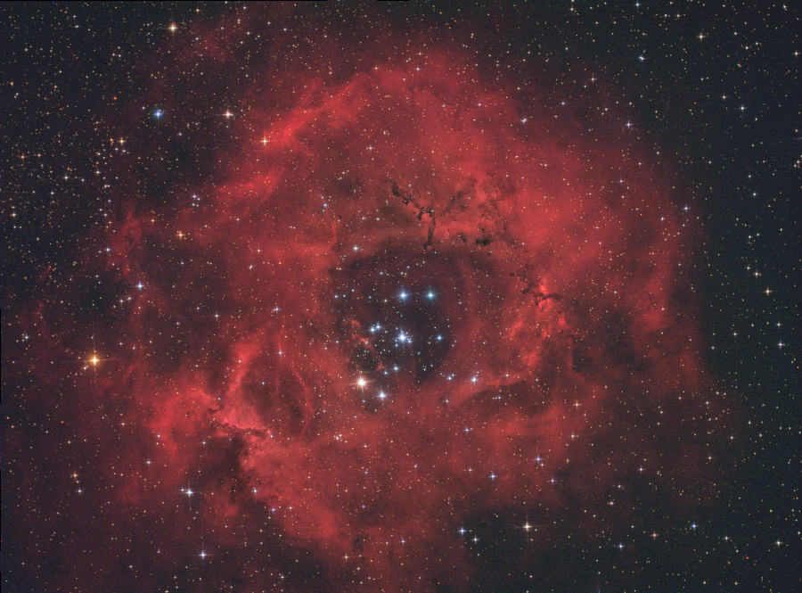 Rosette Nebula