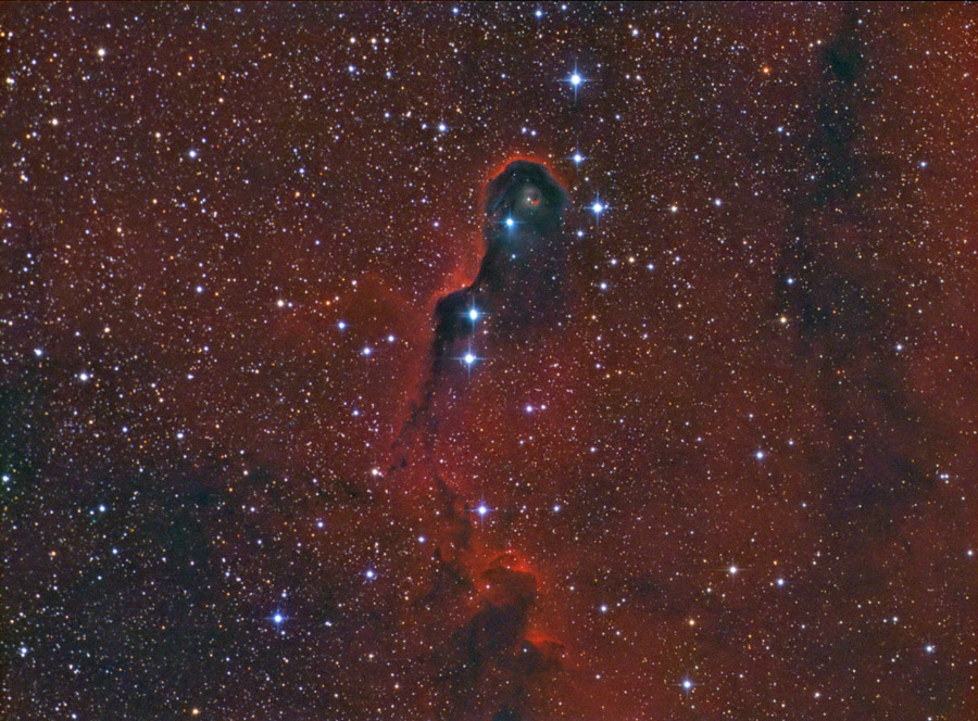 VDB 142
