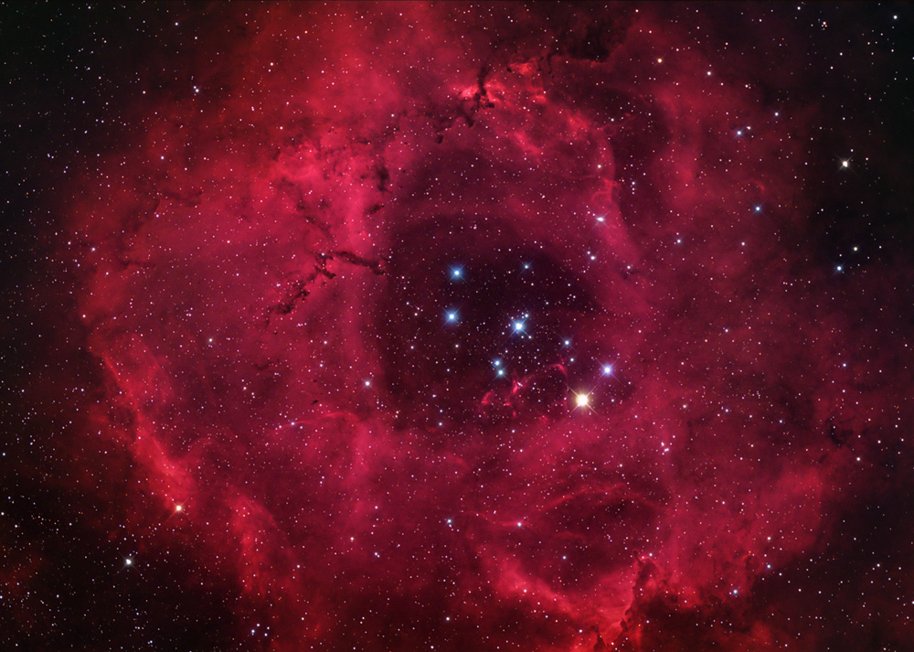 Rosette