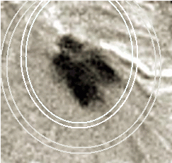 Halloween Solar Storms 484 Shock waves