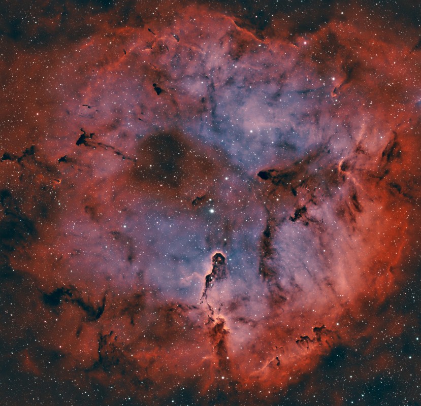 Elephant’s Trunk Nebula
