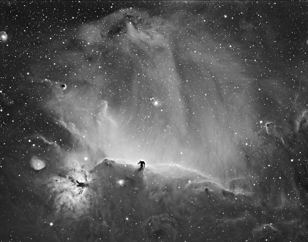 Horsehead