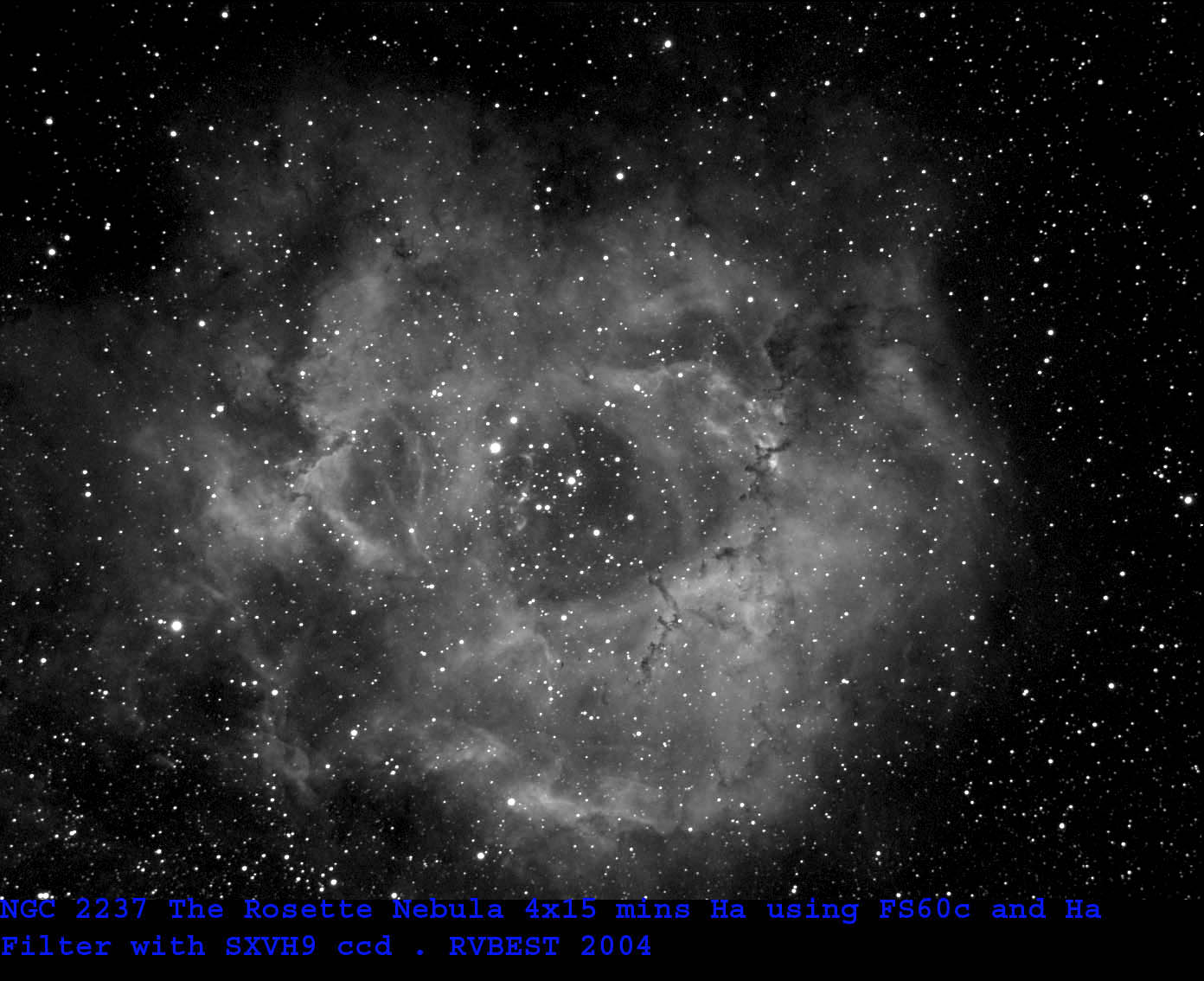 Rosette nebula
