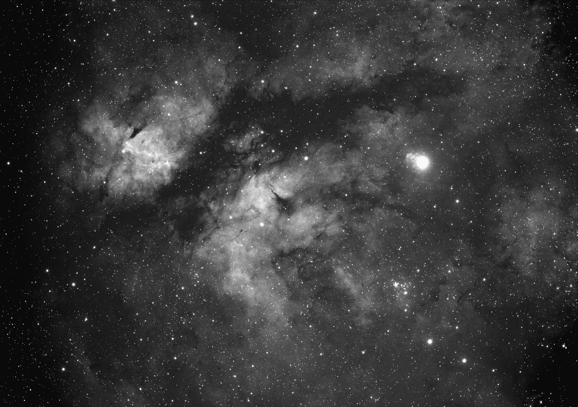Gamma Cygni