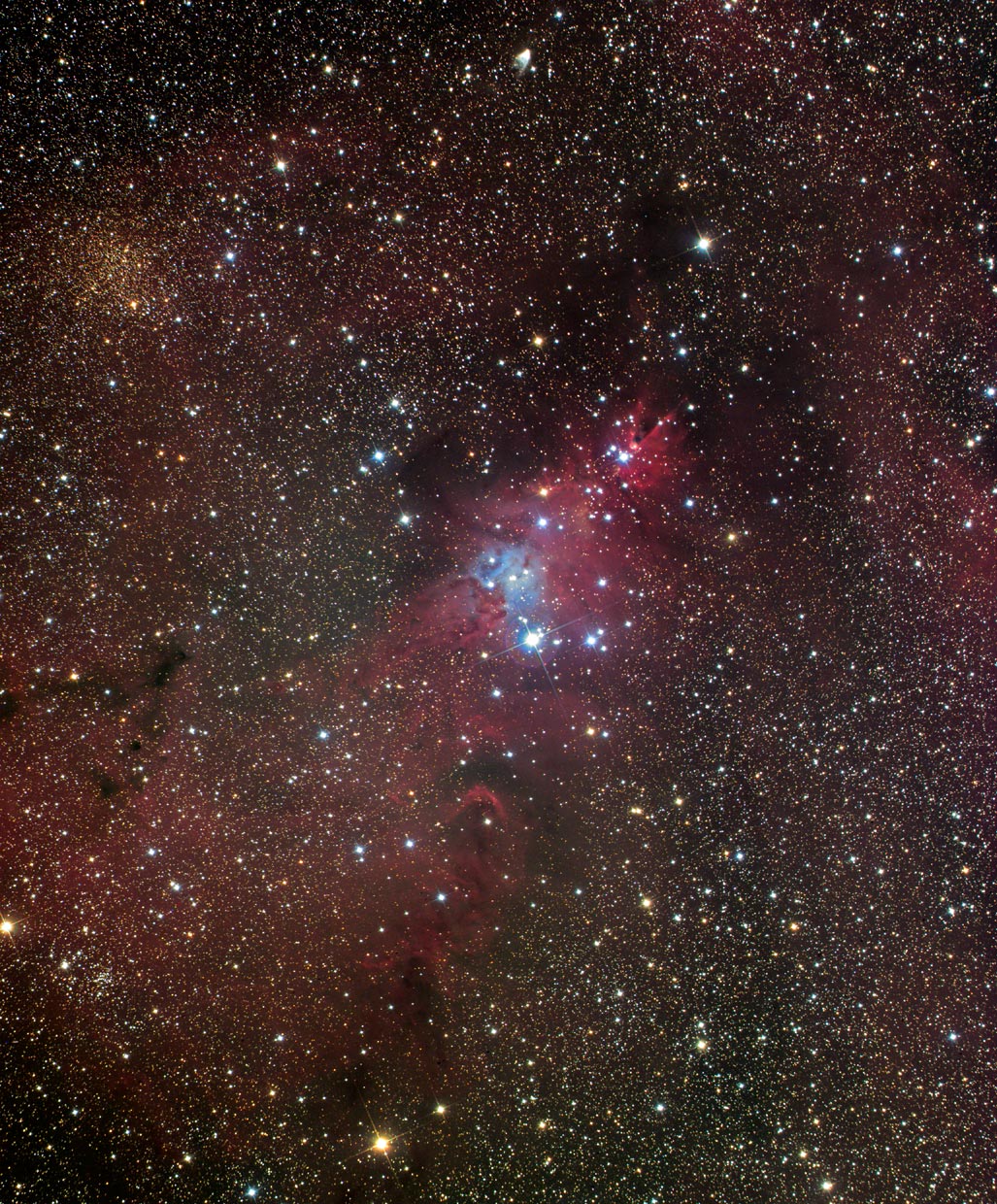 Cone Nebula & Vicinity