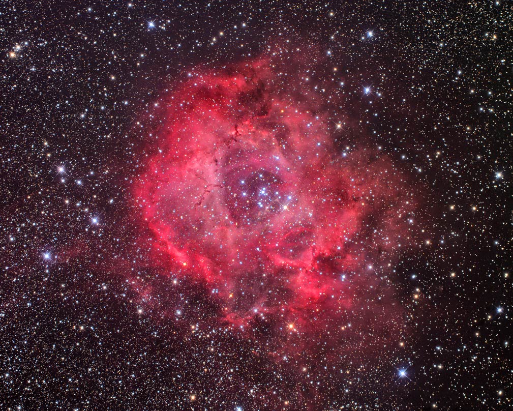 Rosette Nebula
