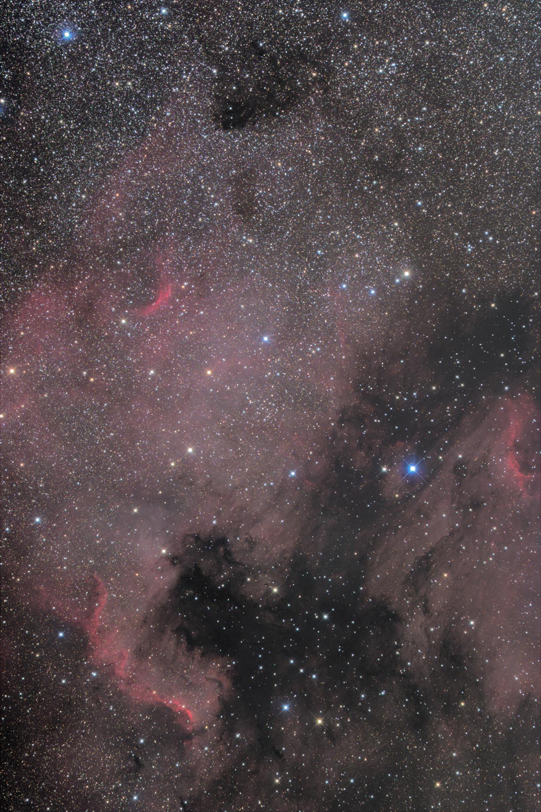 North America and Pelican Nebulas
