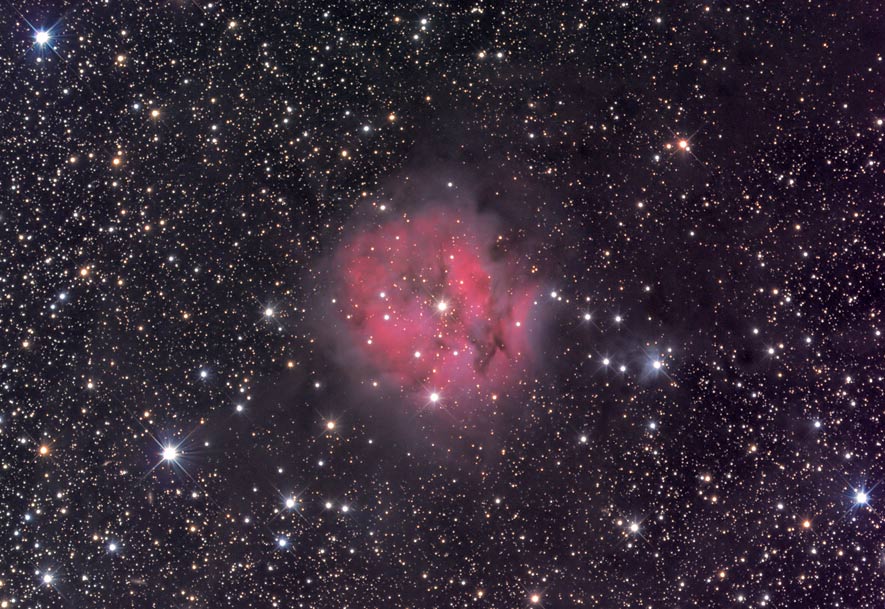 The Cocoon Nebula