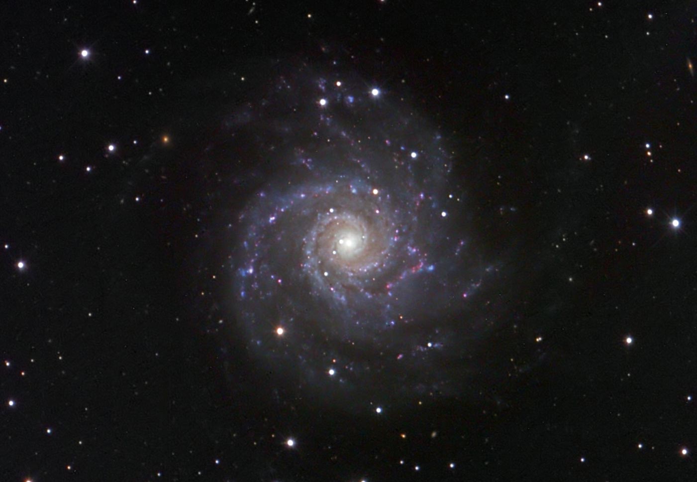 M74