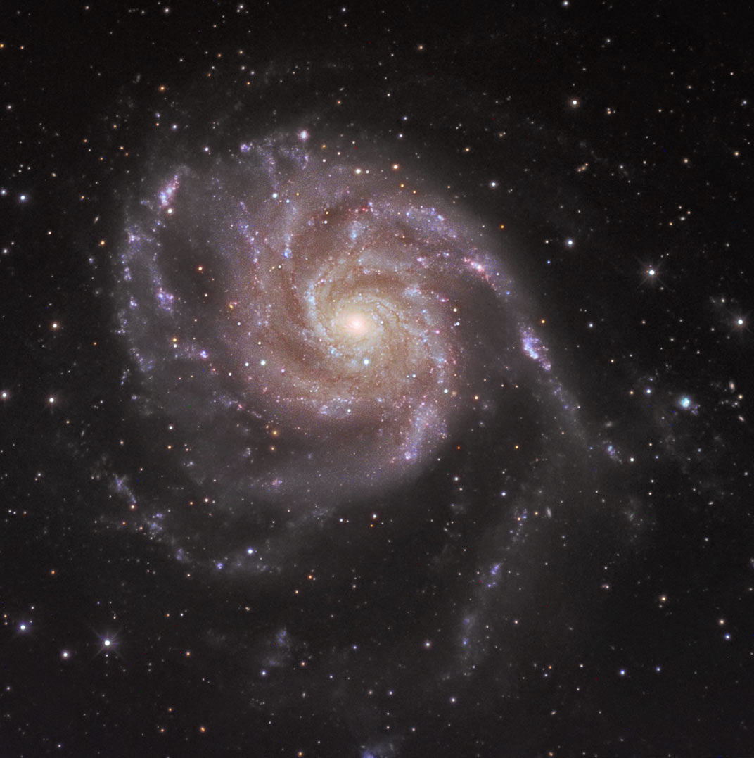 M101