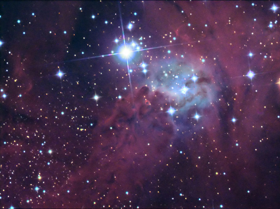 The Foxfurnebula
