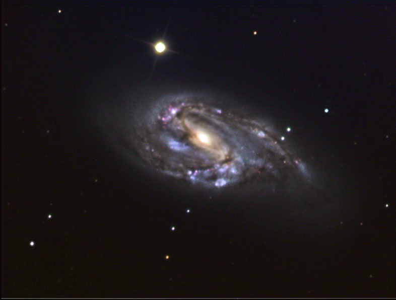 Galaxy M66 Leo
