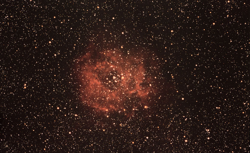 FSQ film rosette