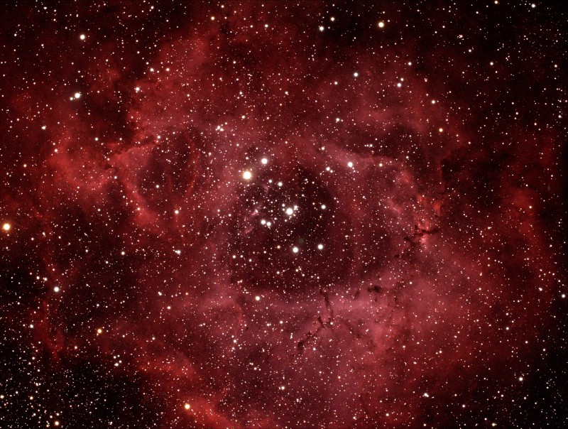 Rosette Nebula 
