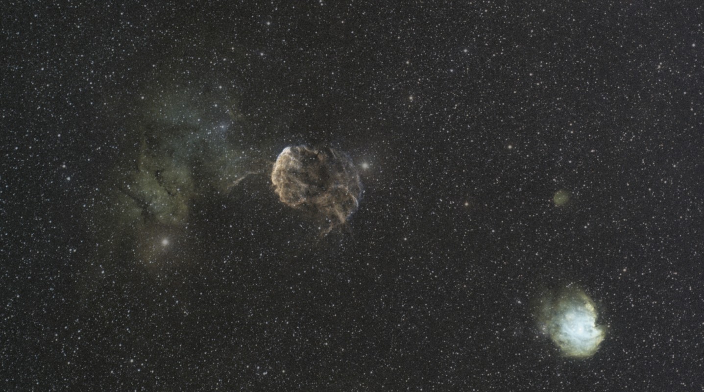 Jellyfish IC443