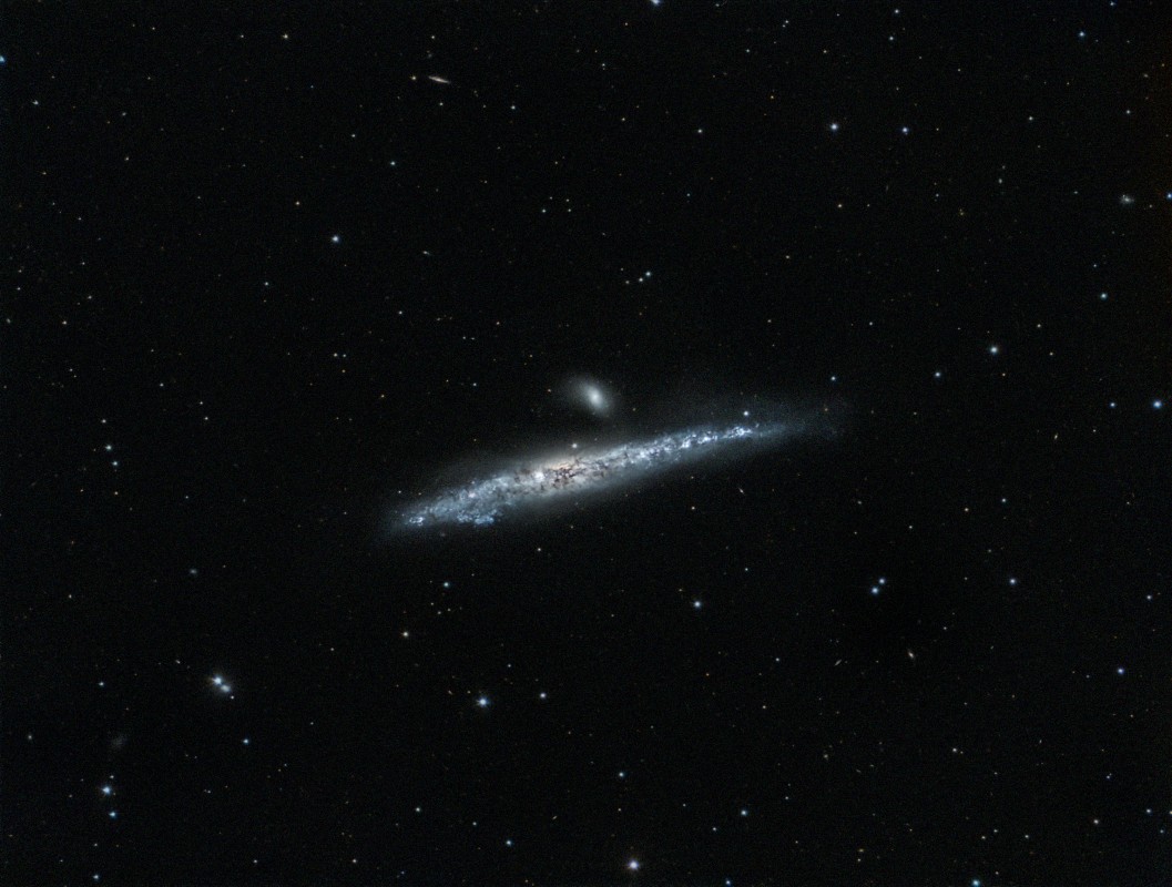 NGC 4631 Whale Galaxy