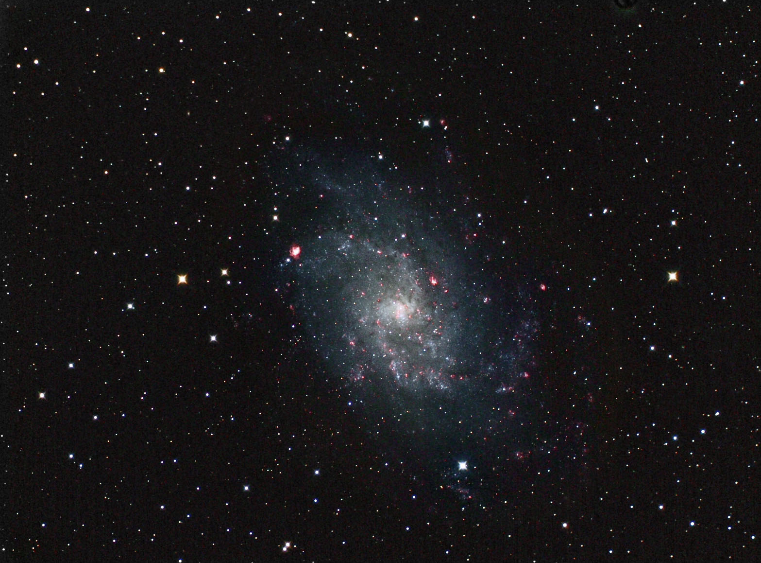 M33