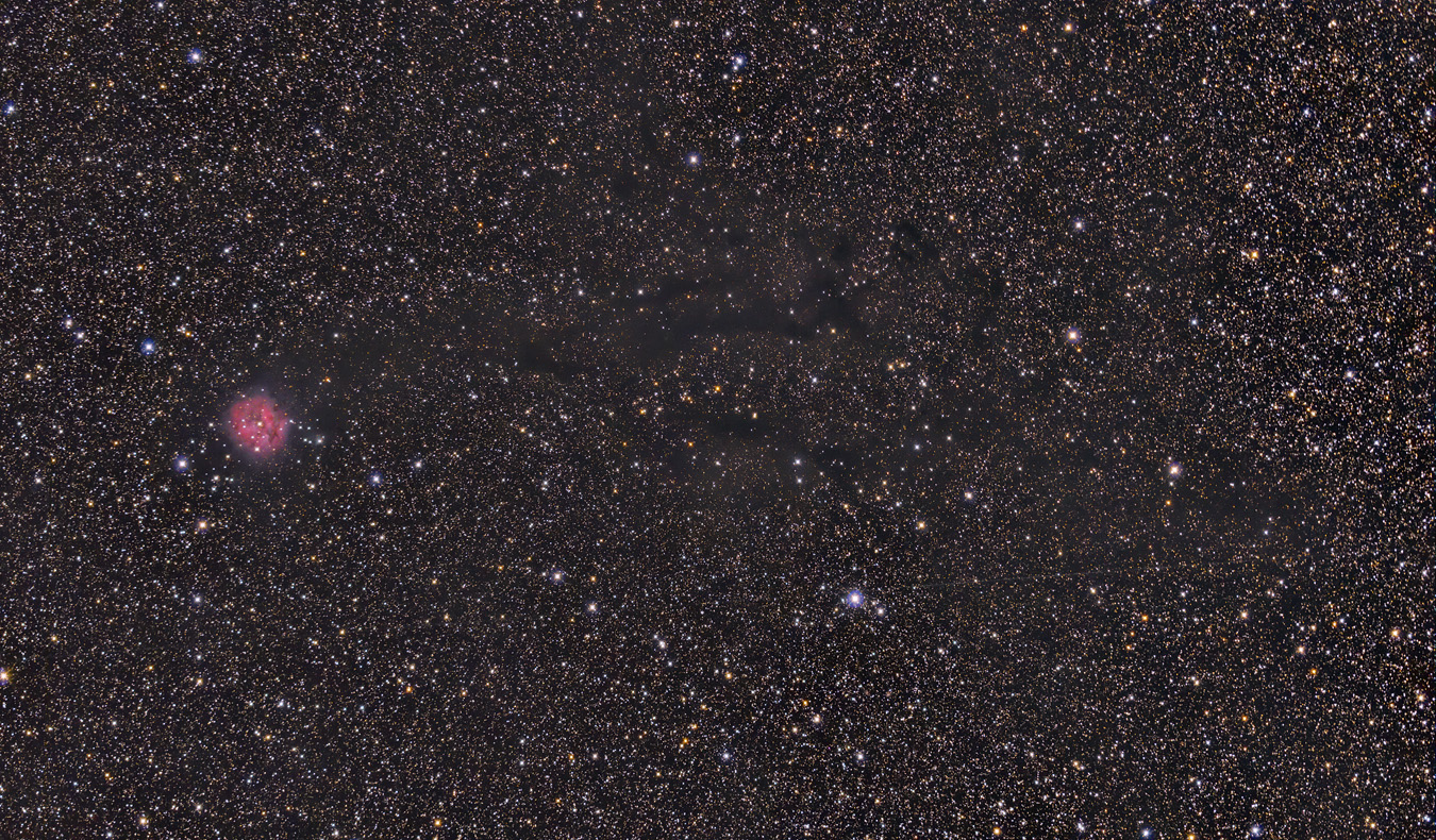Cocoon Nebula