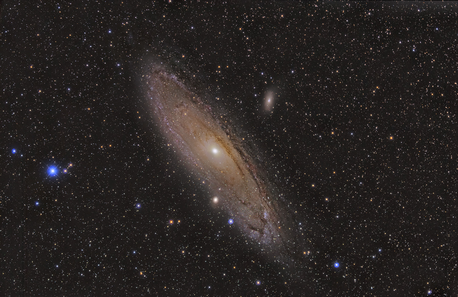 M31