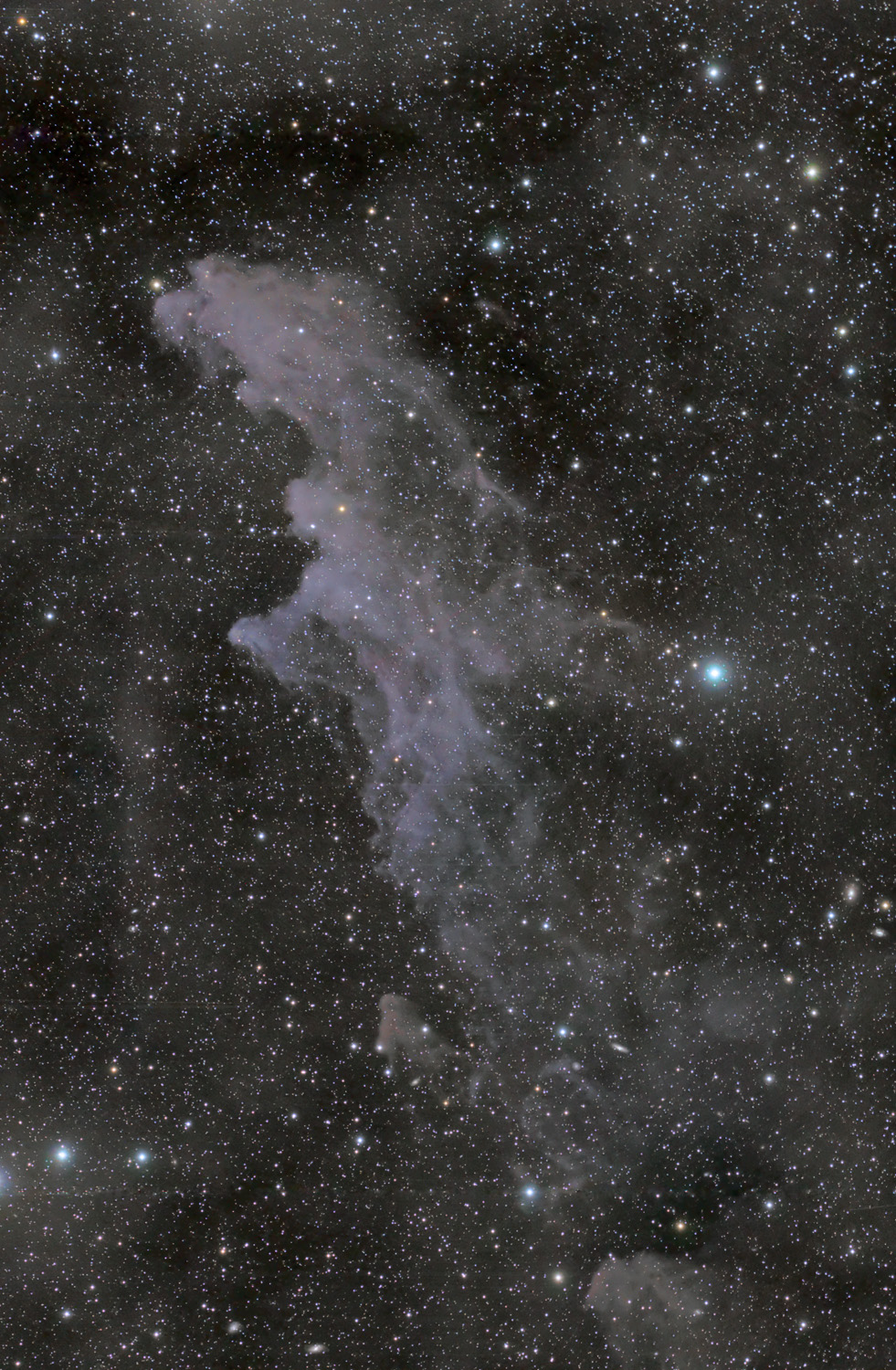 The Witchs Head IC2118