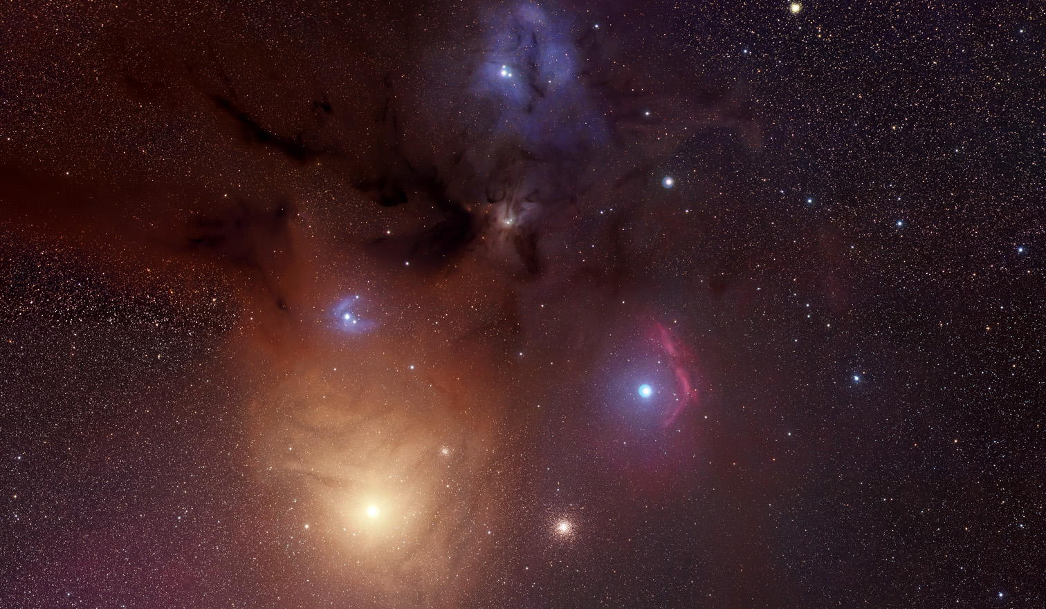 Rho Ophiuchi Mosaic
